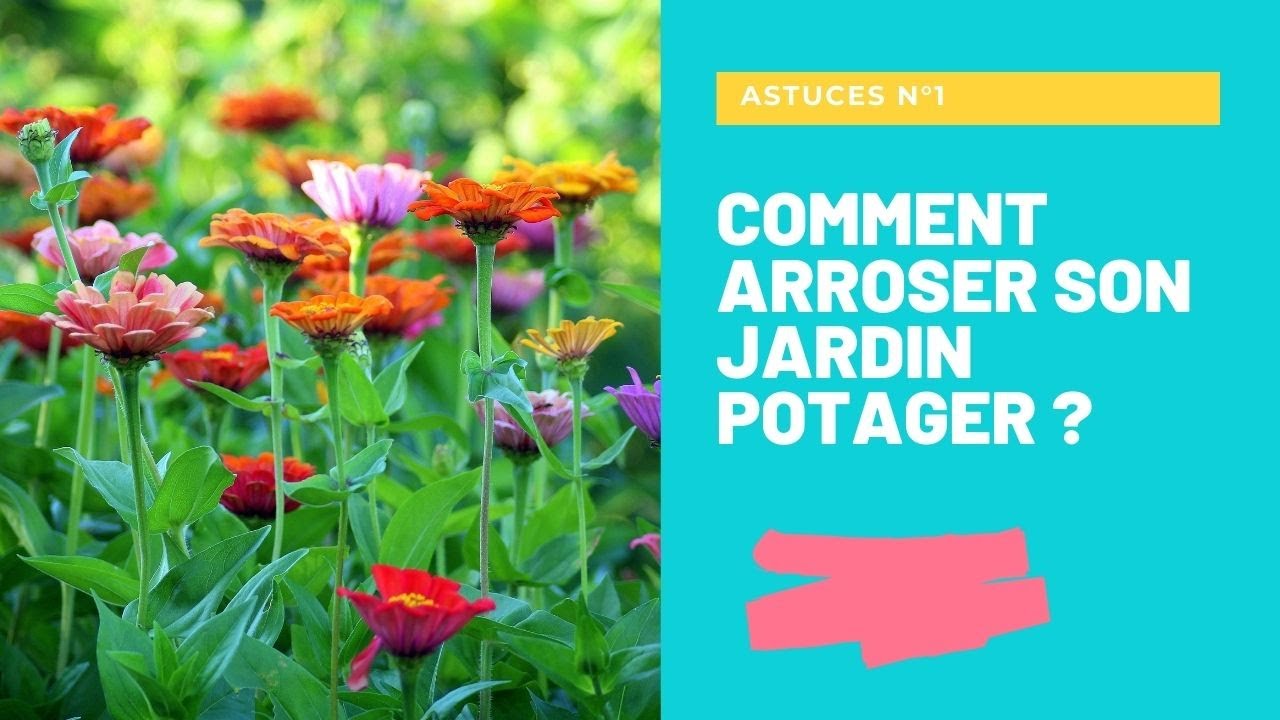 COMMENT ARROSER SON JARDIN POTAGER/Astuces N&deg;1