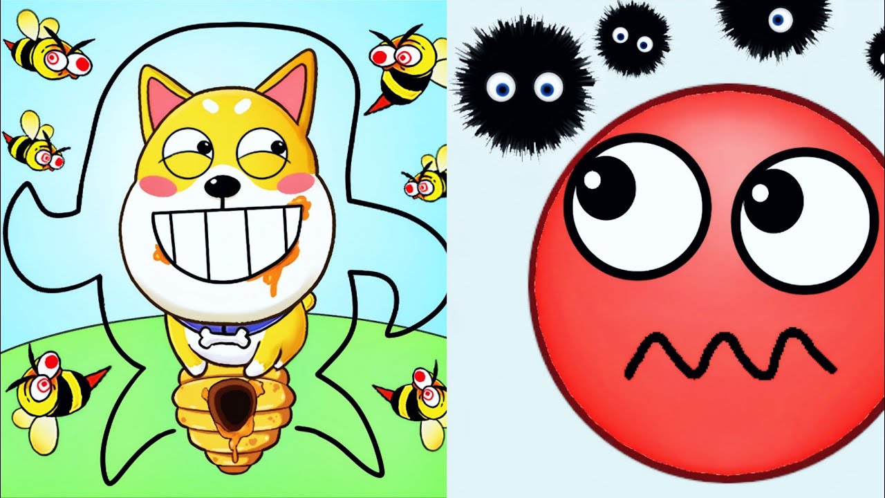 Hide Ball Vs Save The Dog - Up To Max Level SpeedRun Gameplay 