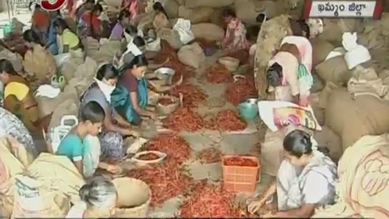 Ladies Encounters health problems Working In Mirchi yard
