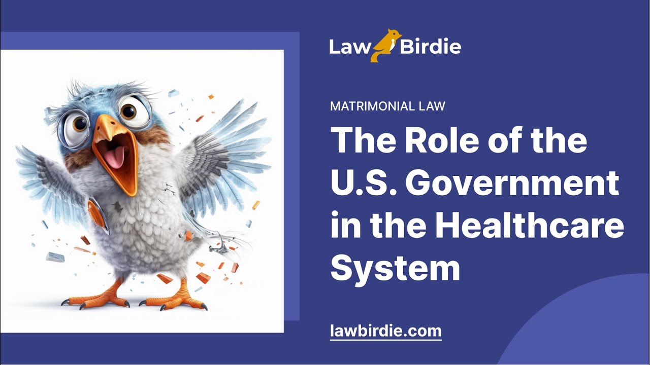 The Role of the U.S. Government in the Healthcare System - Essay Example