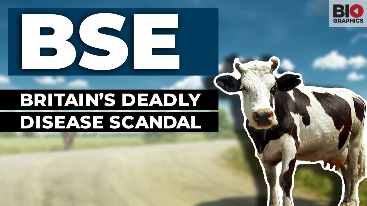 BSE: Britain’s Deadly Disease Scandal