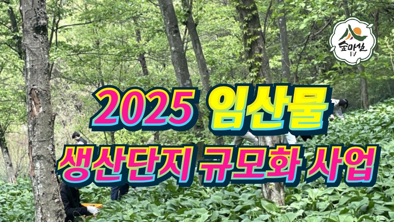 2025 임산물 생산단지 규모화 사업 공모 산림작물생산단지 산림복합경영단지 산림 임업  농업 임업후계자  독림가 산림경영계흭 귀농귀촌정보 임업직불제 임업경영체 공익직불금 임산물