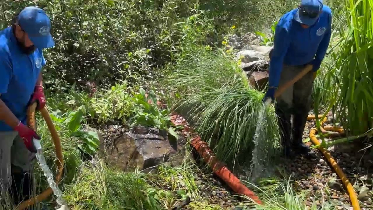 Martin Pond Cleaning