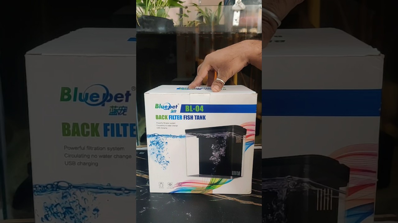 Best Aquarium Tank for Betta Fish 🐠🐟 #shorts #bettafish