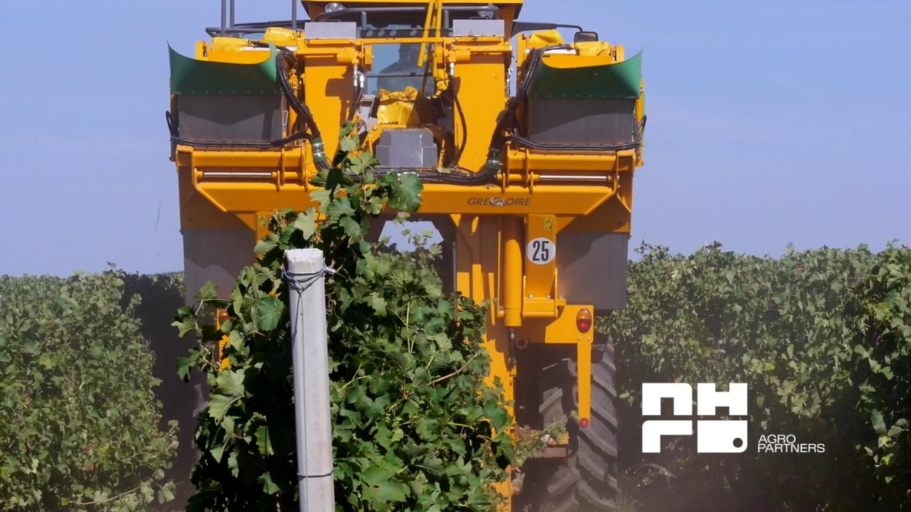 Gregoire G8.260 - combina pentru recoltarea mecanizata a strugurilor