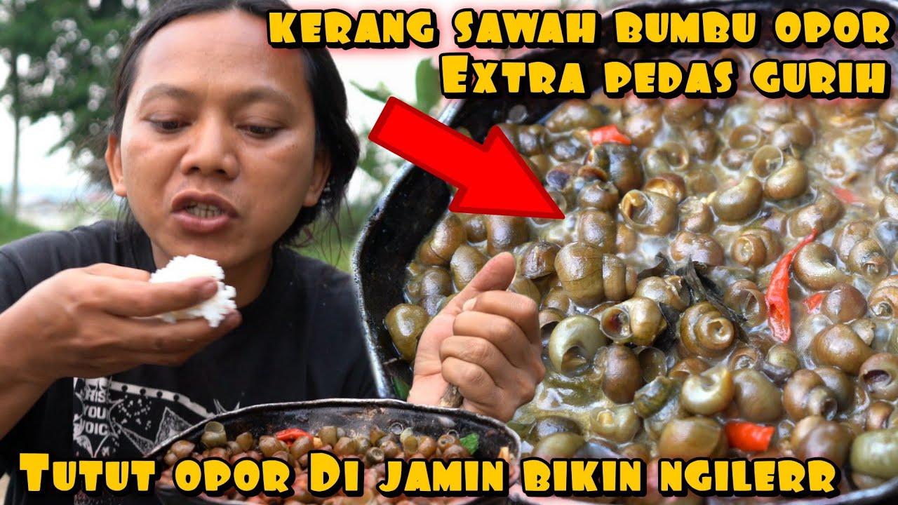OPOR KERANG SAWAH RASA MAKANAN MEWAH