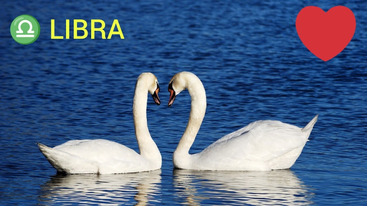 💚LIBRA♎ ESTA PESSOA ACHA Q VC É A ALMA GÊMEA DELE @🔥TEM ALGUÉM TENTANDO IMPEDIR Q VC SEJA FELIZ ⚖️