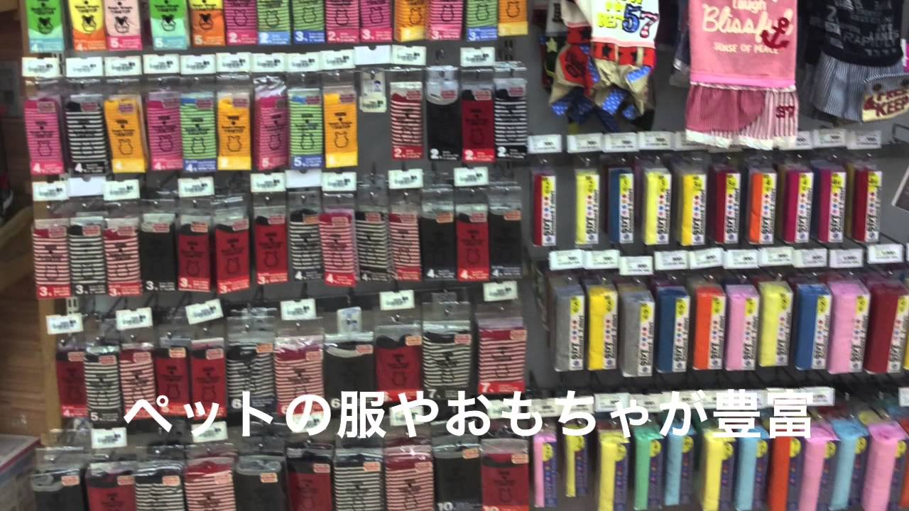 センチュリーペットフォレオ大津一里山店