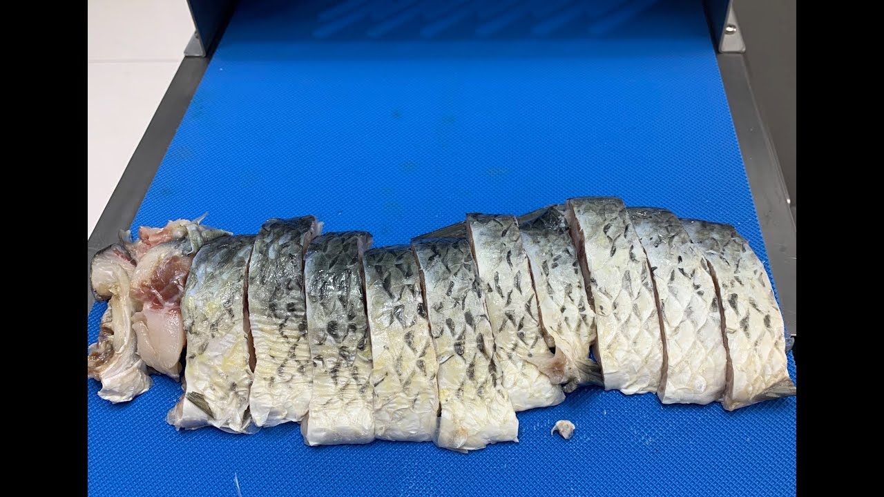 Fish Cutting Machine(On Our Exhibition)