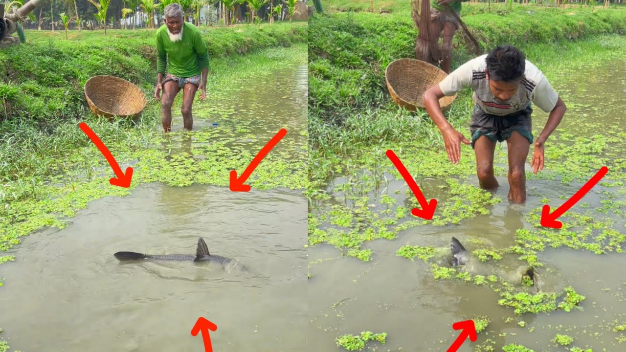 Everyone in the river is looking for a big fish.#fishing #bigcatfeverrods #fish #viralvideo 