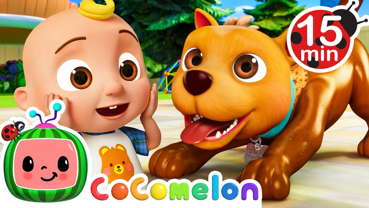 JJ and his Dog get Muddy! | CoComelon 🍉 | Nursery Rhymes For Kids