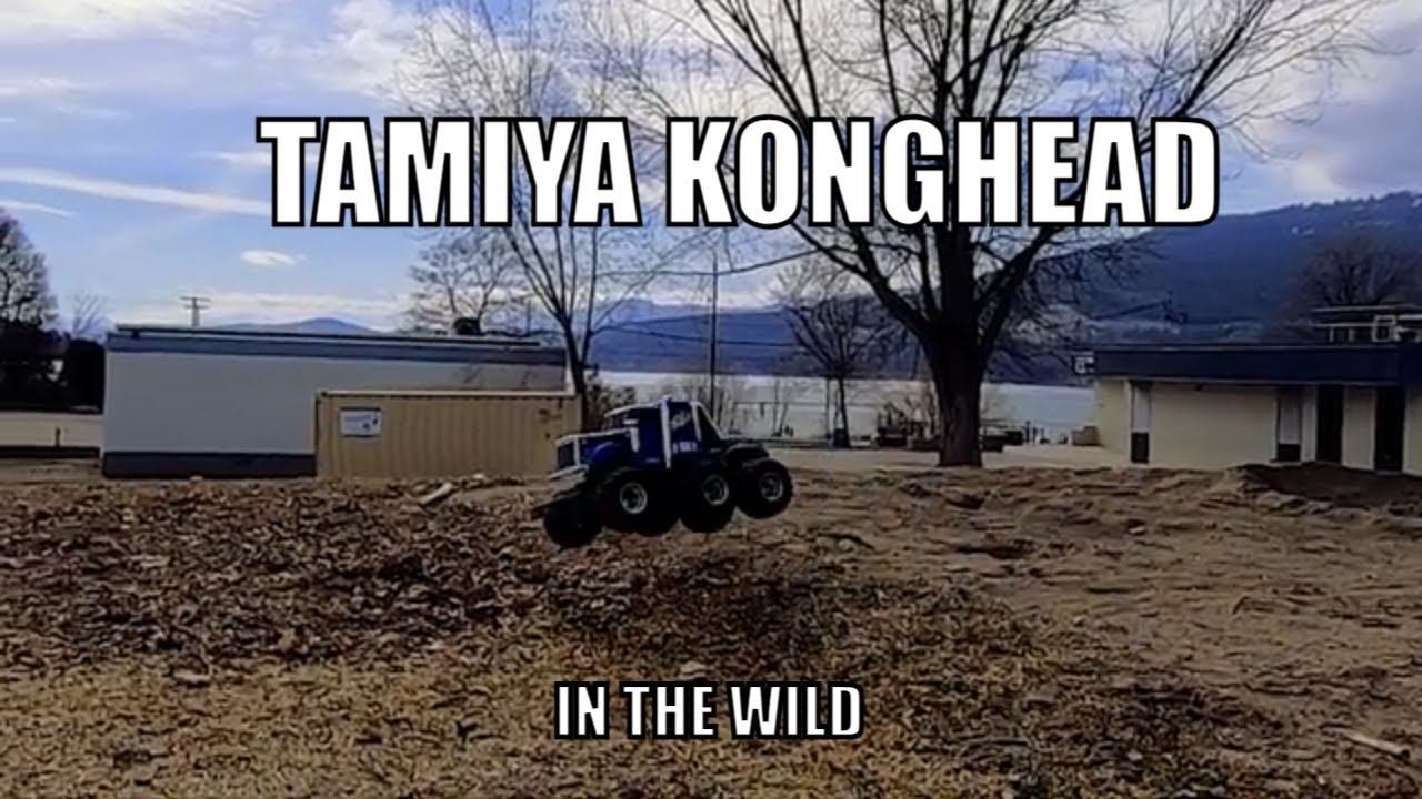 TAMIYA KONGHEAD
