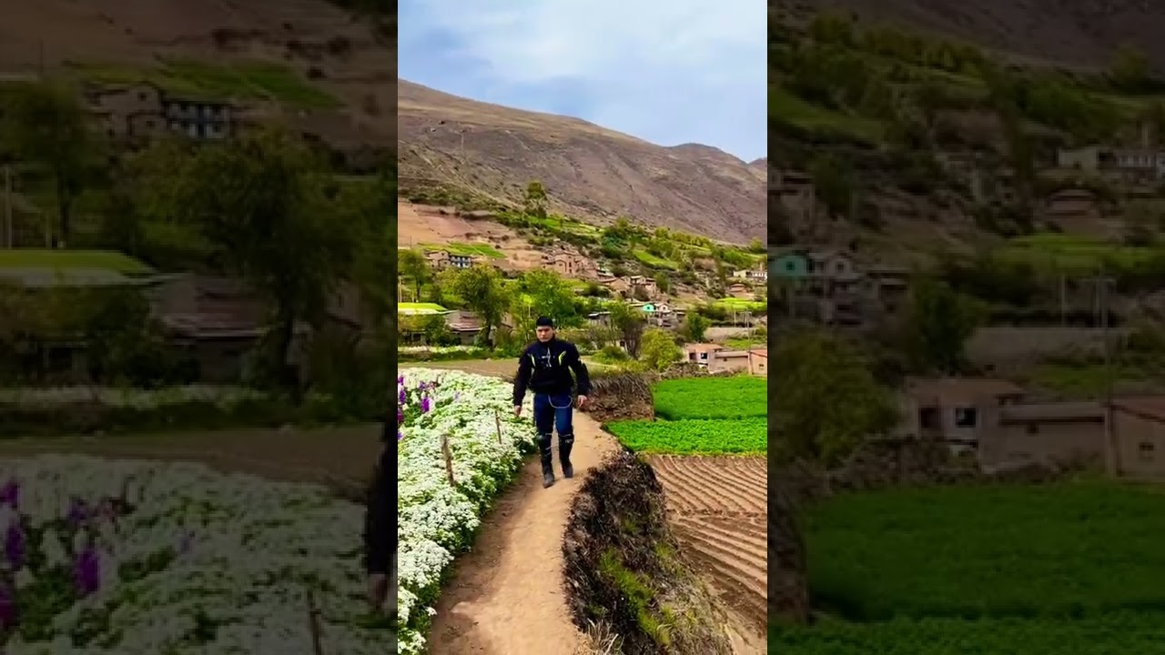 Tarma - 