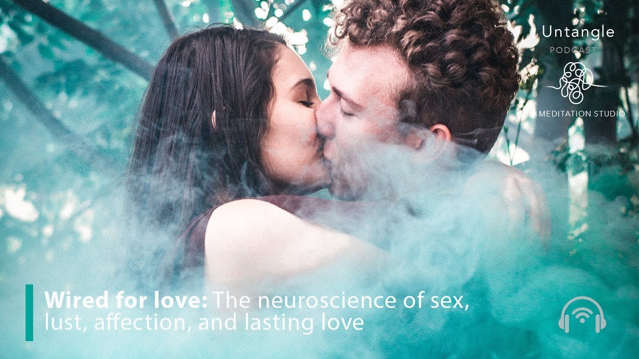 Helen Fisher: The neuroscience of sex, lust, affection, and lasting love