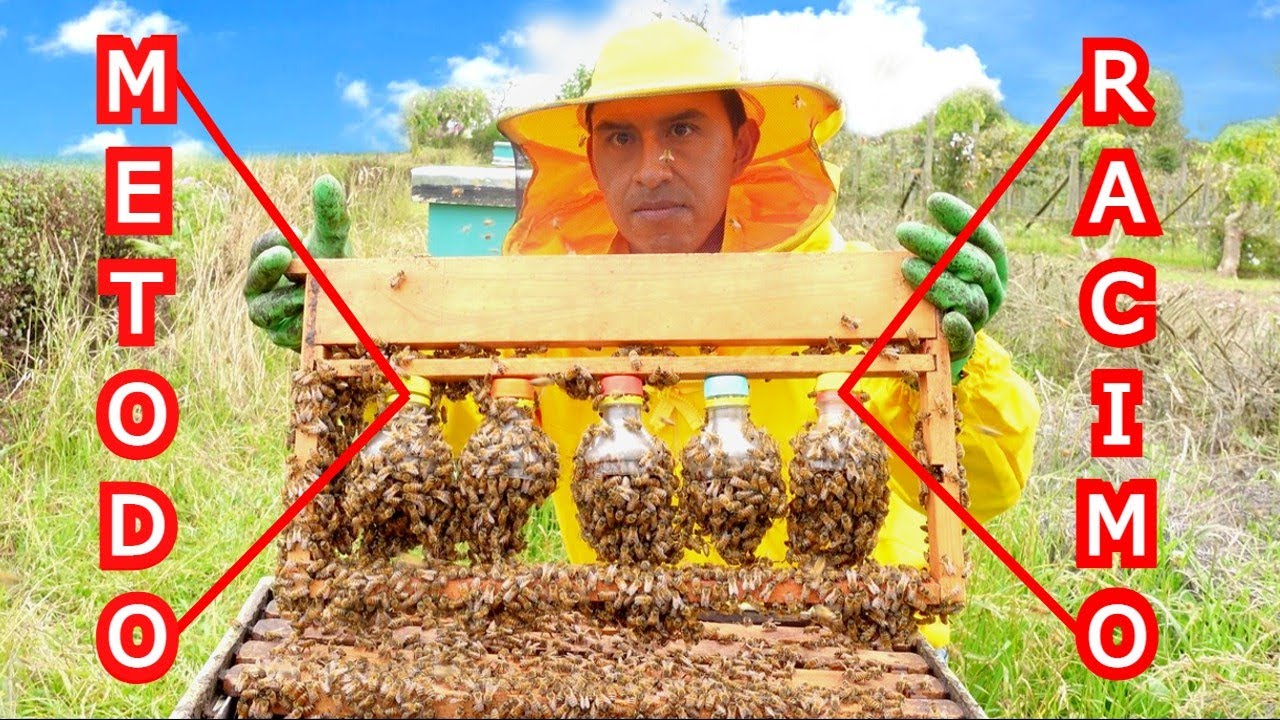 CRIANDO REINAS en BOTELLAS ♻ Recicladas