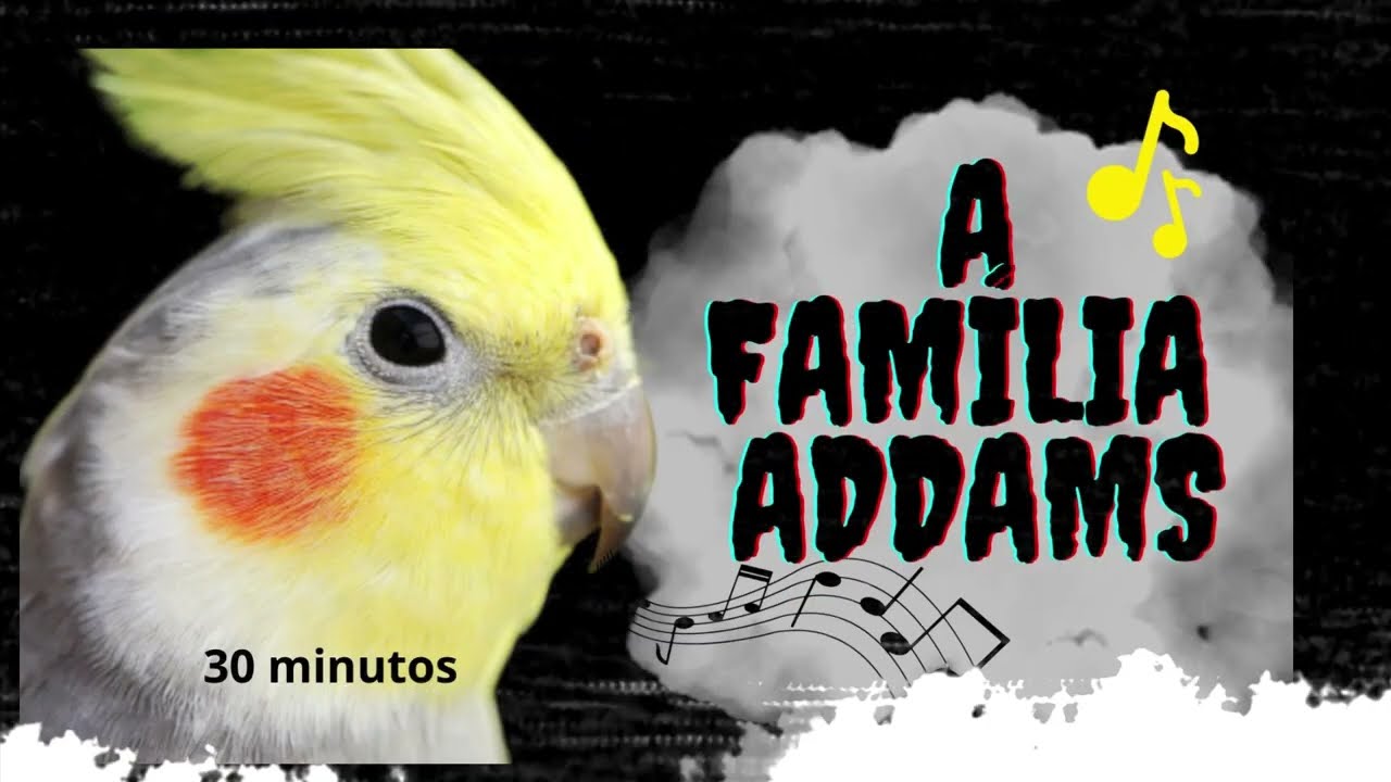 Calopsita Cantando Familia Addams