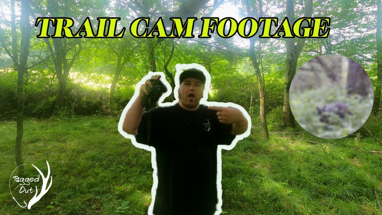 TRAIL CAM FOOTAGE