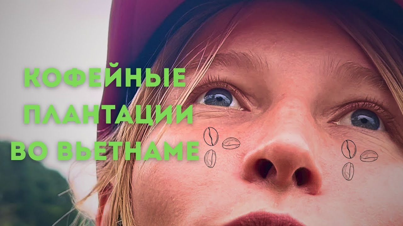Кофейные Плантации во Вьетнаме. Какое я имею к этому отношение?