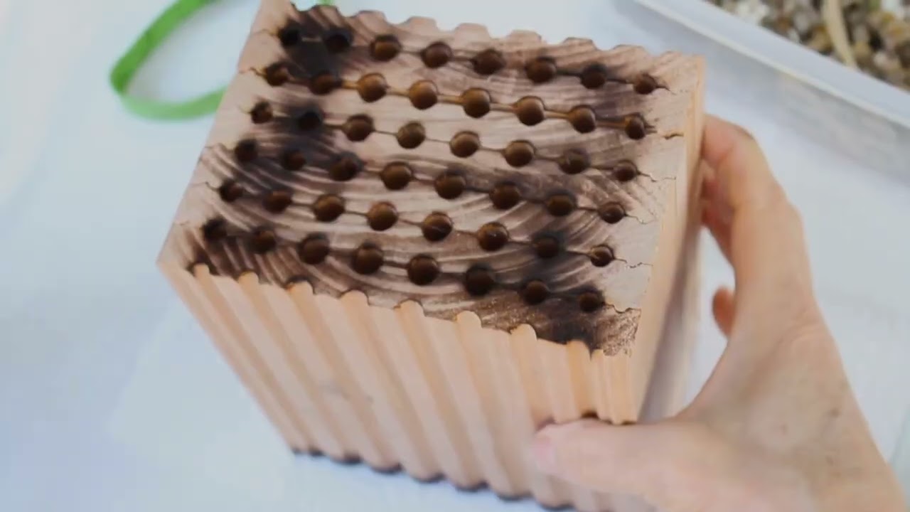 How To: Harvest Your Bees | Osmia Bee Company