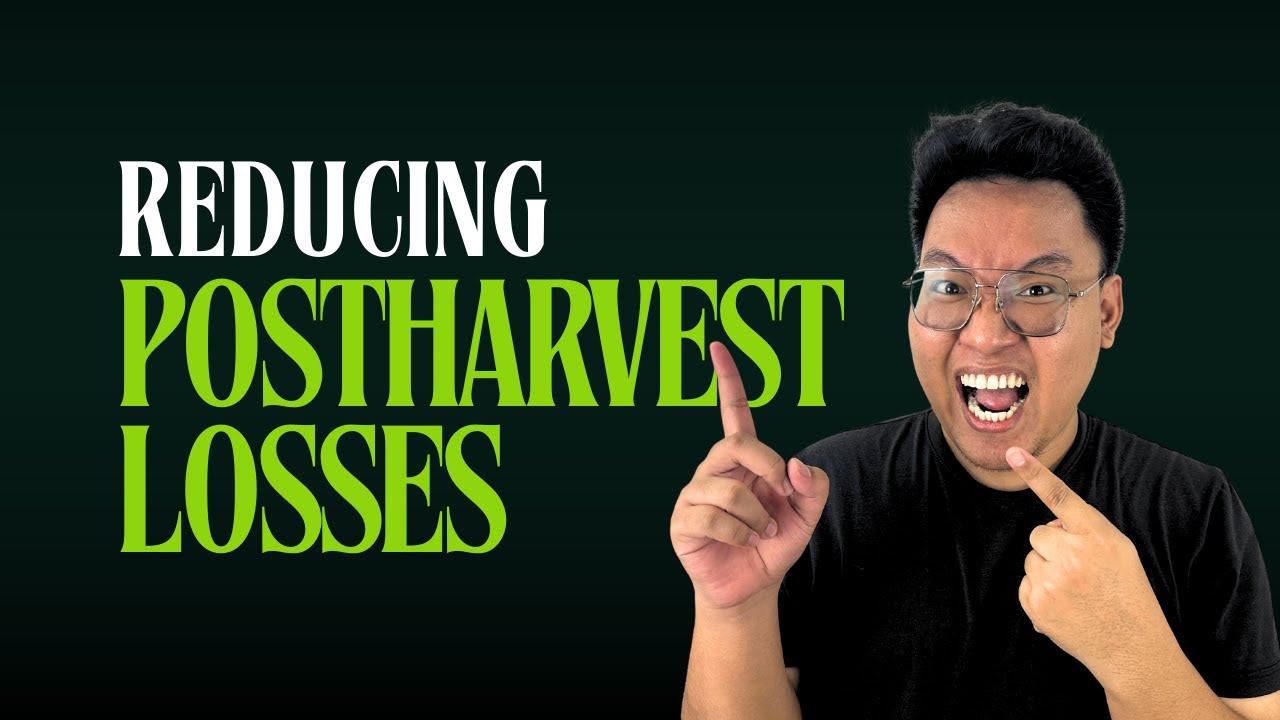 Postharvest Handling of Perishables | FREE Agriculturist Licensure Review