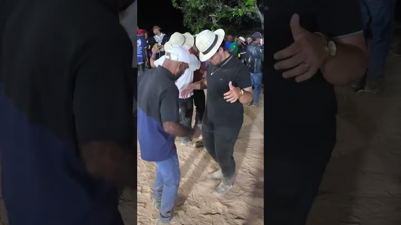 Banda forró e Gaia 
