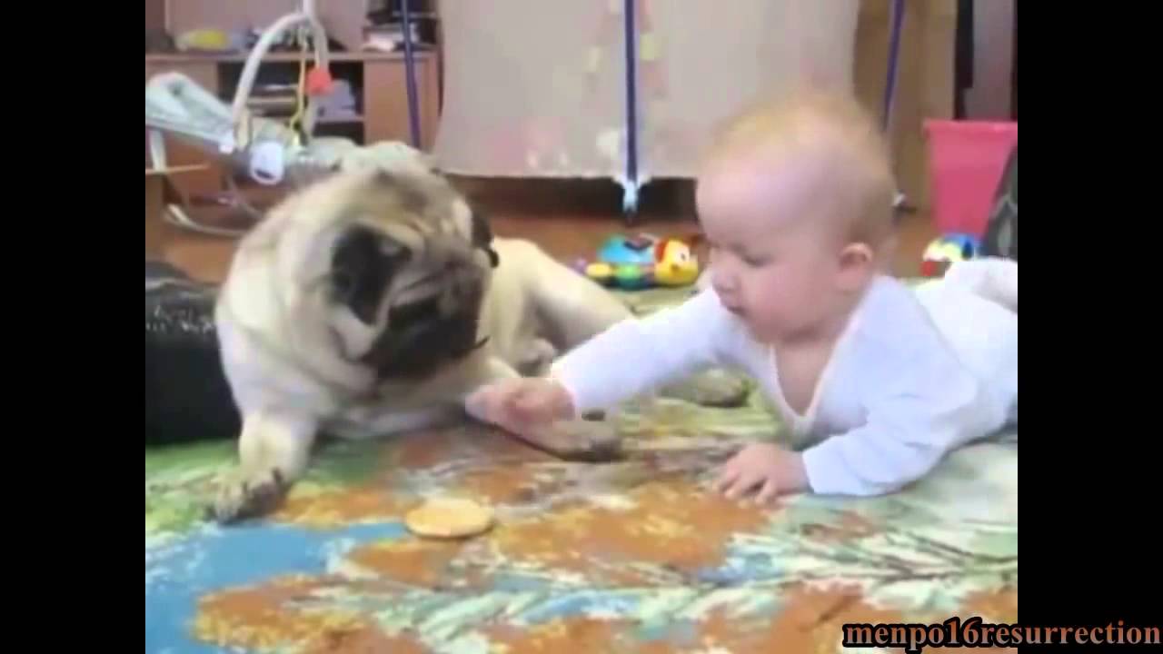 Videos que dan risa 2014 Parte 3