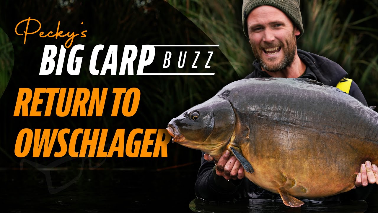 Darrell Pecks Big Carp Buzz | Return to Owschlager (As seen on Korda Masterclass 4)