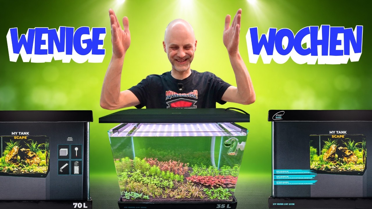 Dieses Aquarium muss in wenigen Wochen fertig sein - DutchStyle ME Aquaristics