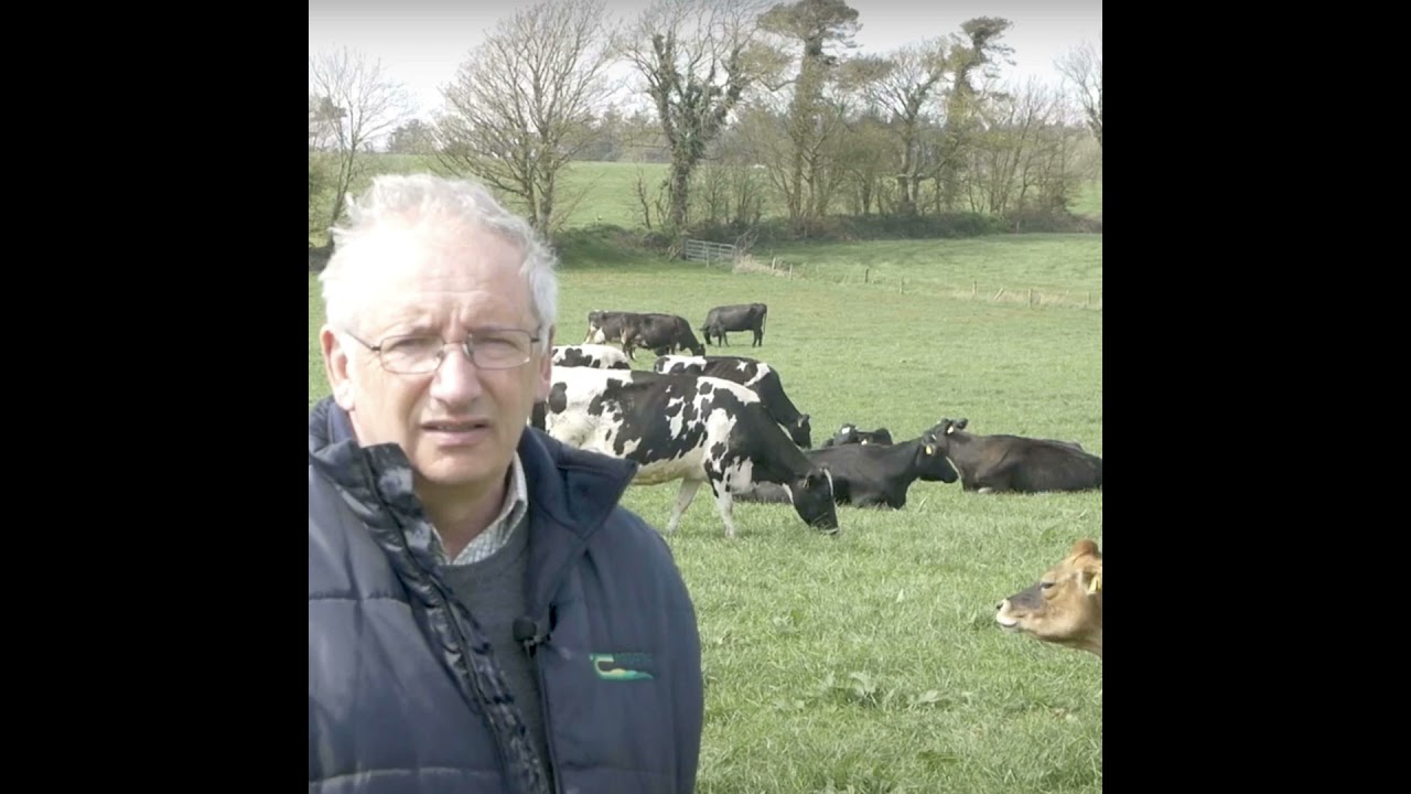 Pushing milk solids per ha from grazed grass at Shinagh Farm