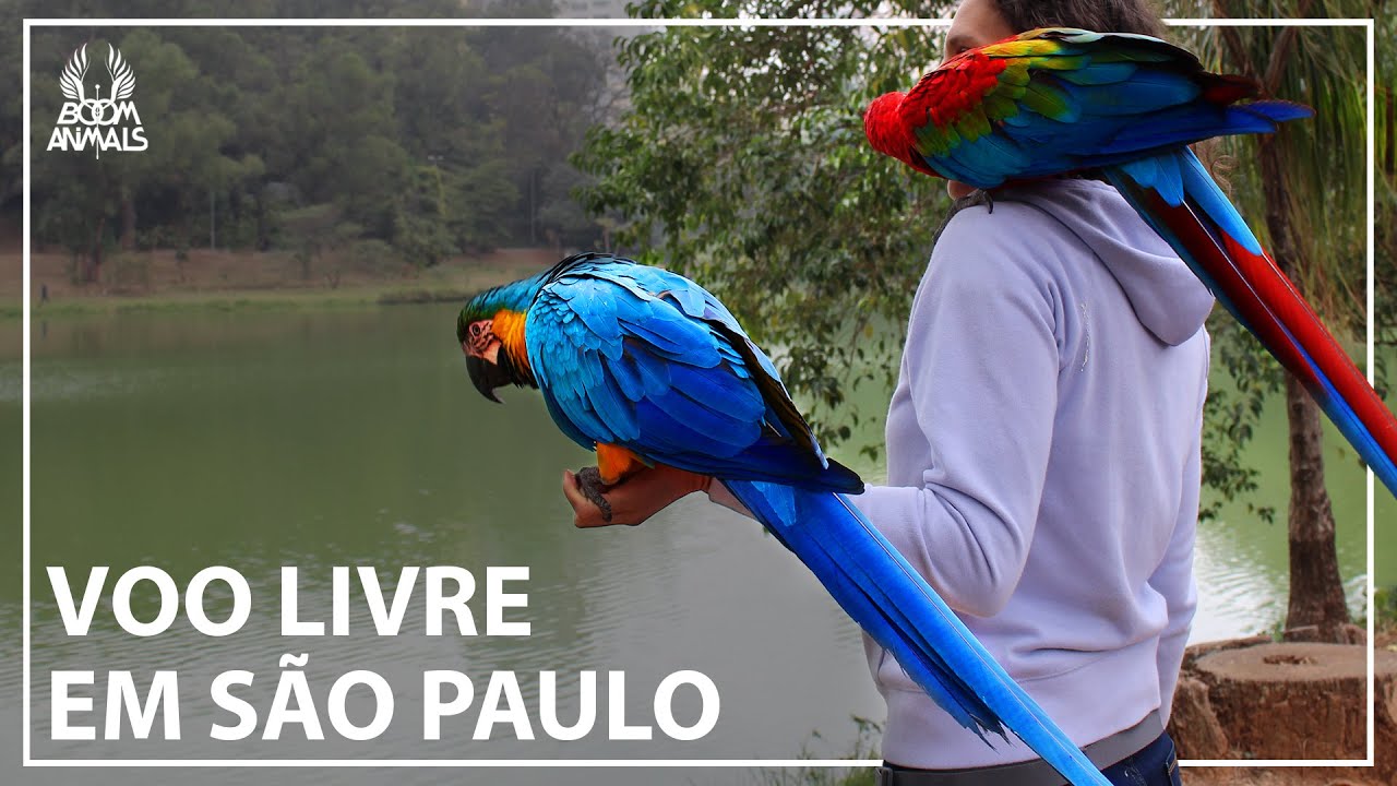 Voo Livre em São Paulo