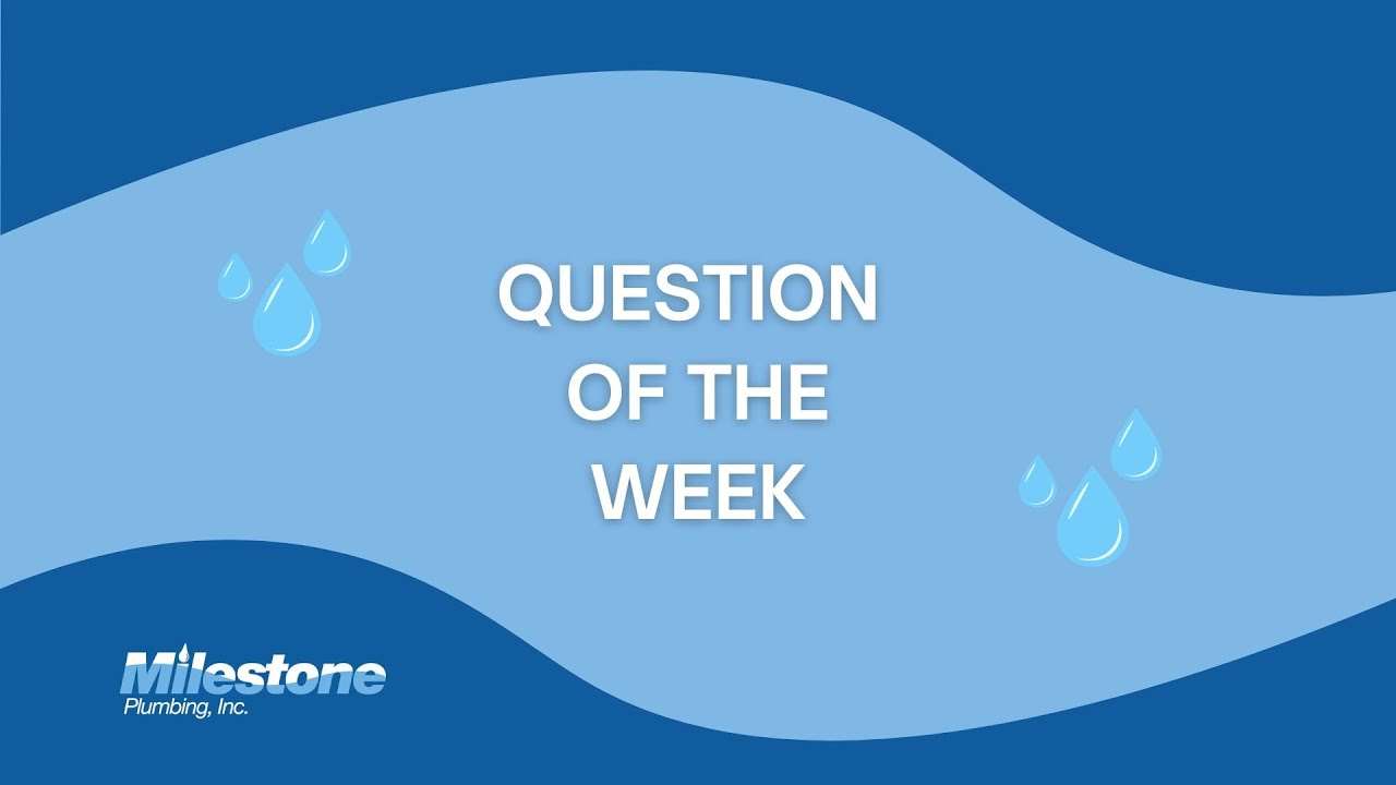 Question of the Week: What Do Flush Valves and Canisters Do in a Toilet?