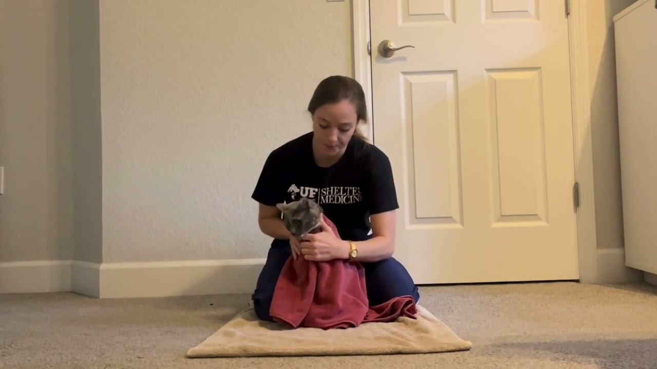 The Bundle & Bond Technique- A fast track socialization method