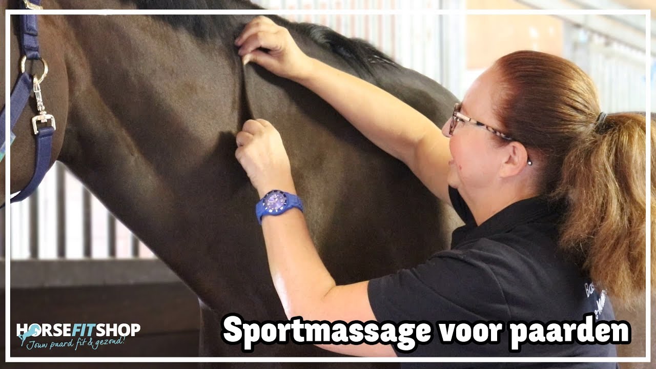 SPORTMASSAGE VOOR PAARDEN | + WINNAAR BEKEND Equine Legcooler | Vlog #7 | HorseFitShop