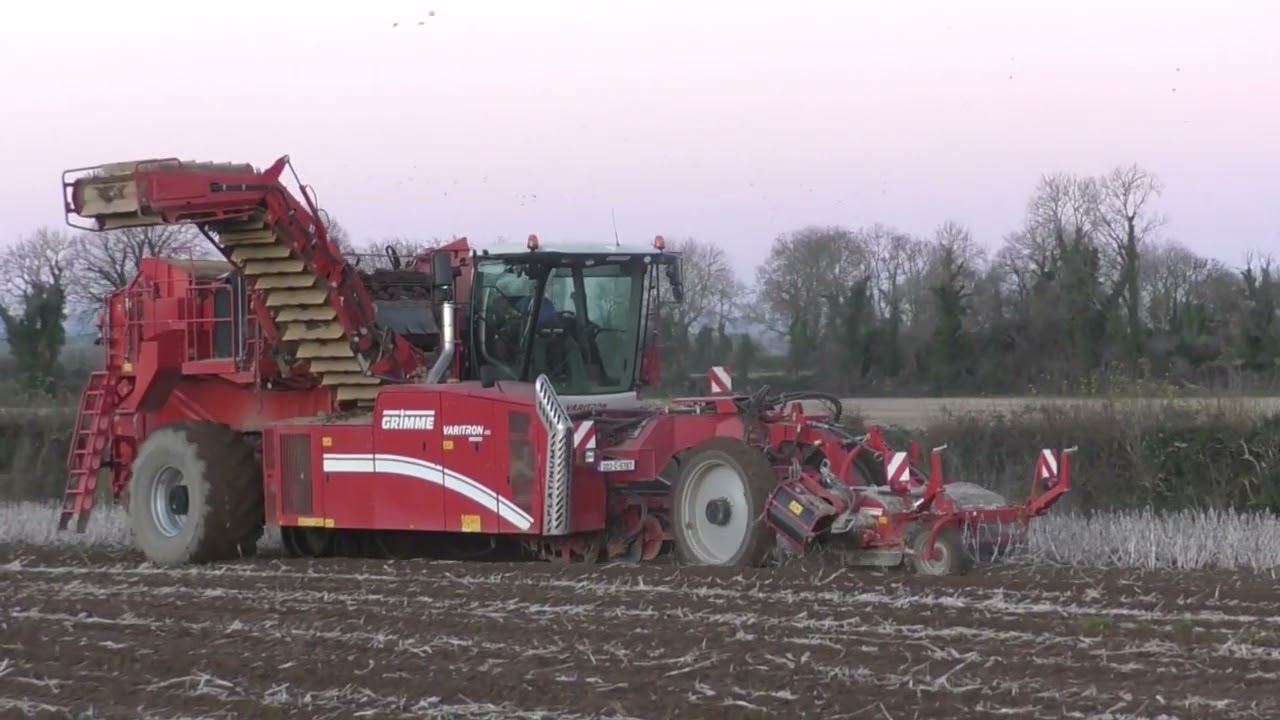 Potato Harvest 2025 - Castlecor Potatoes
