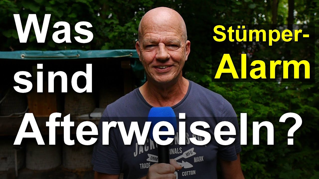 Imker: Unterschied Afterweiseln zu Drohnenm&uuml;tterchen und buckelbr&uuml;tig zu drohnenbr&uuml;tig?