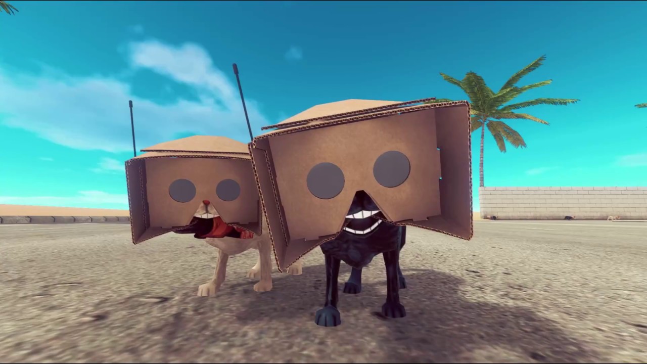 Cats, Cats Everywhere | Abo Khashem pt. 2