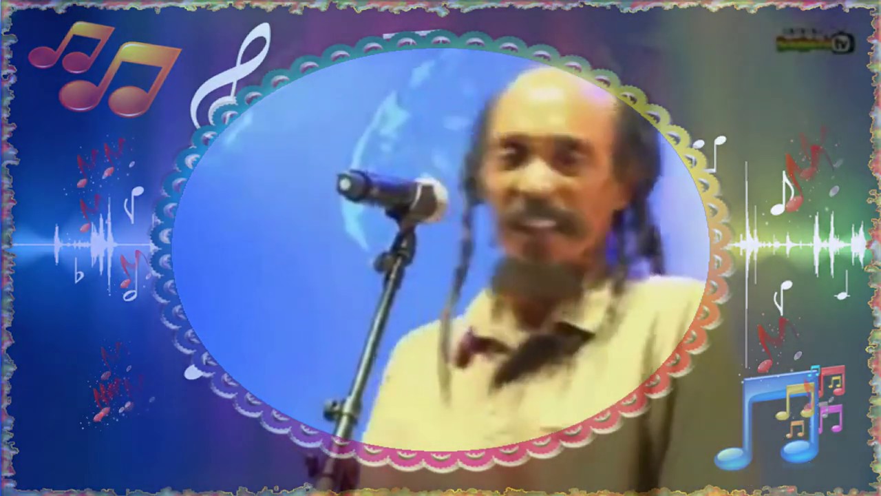 Israel Vibration   Back Staba