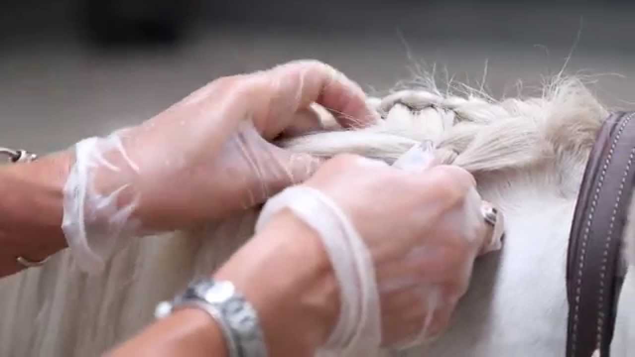 Bit: dubbele hengstenvlecht maken (deel 3)
