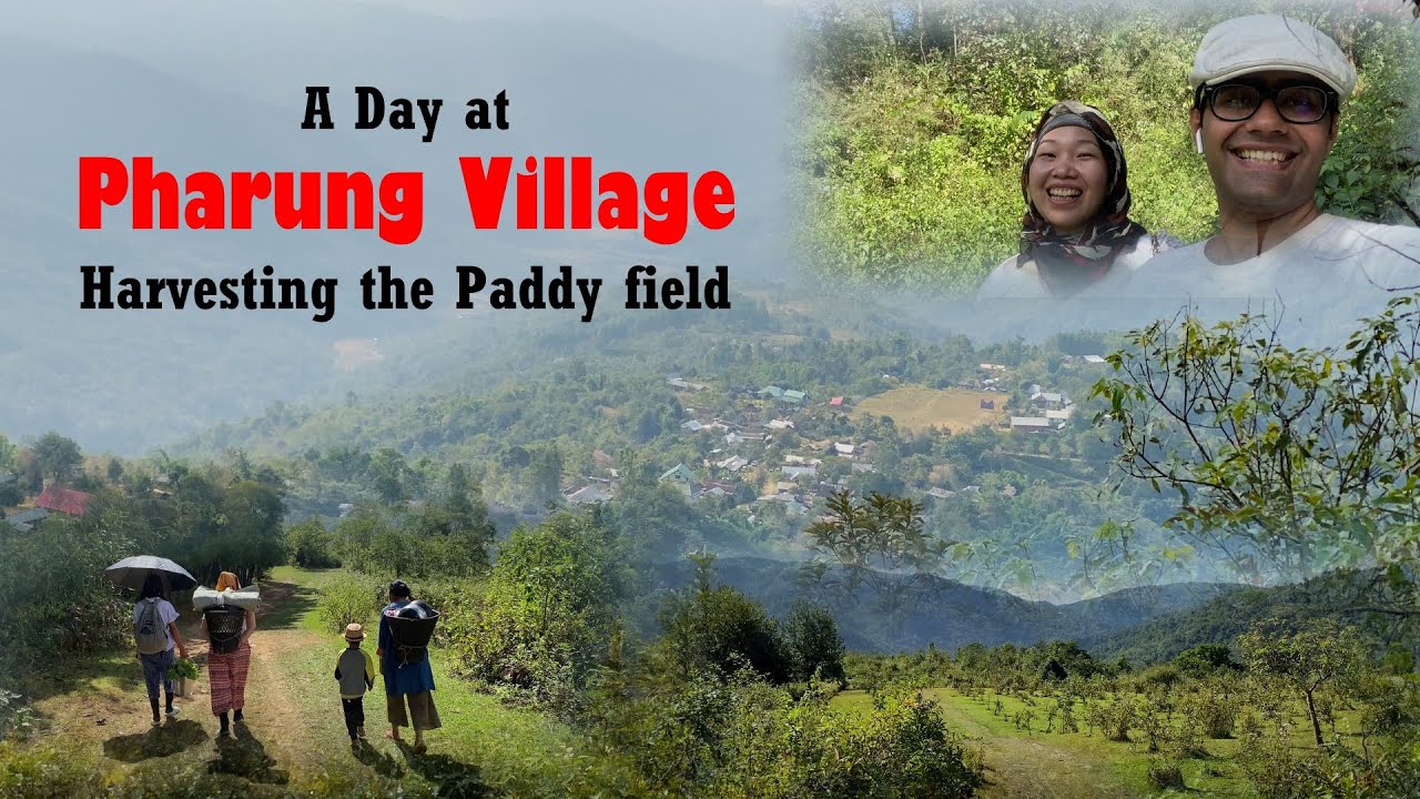 A Day at Pharung Village, Manipur, India | Harvesting the Paddy Field