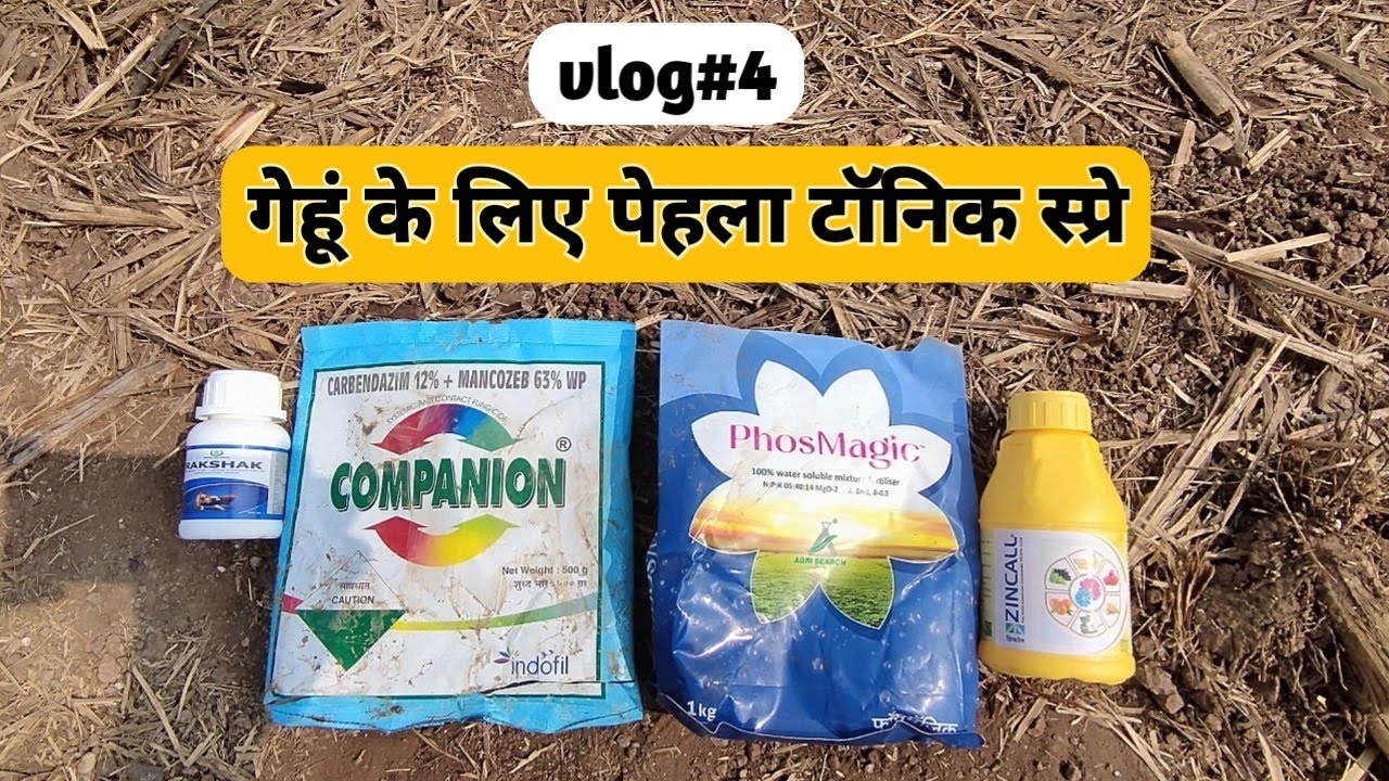 Vlog#4 | गेहूं के लिए पहला टॉनिक स्प्रे  | #wheat #farming #agriculture #farmingandvlogs 