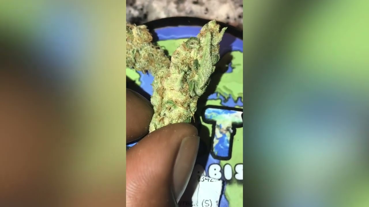 TimeWreck Strain Review (Smk Brk 420)