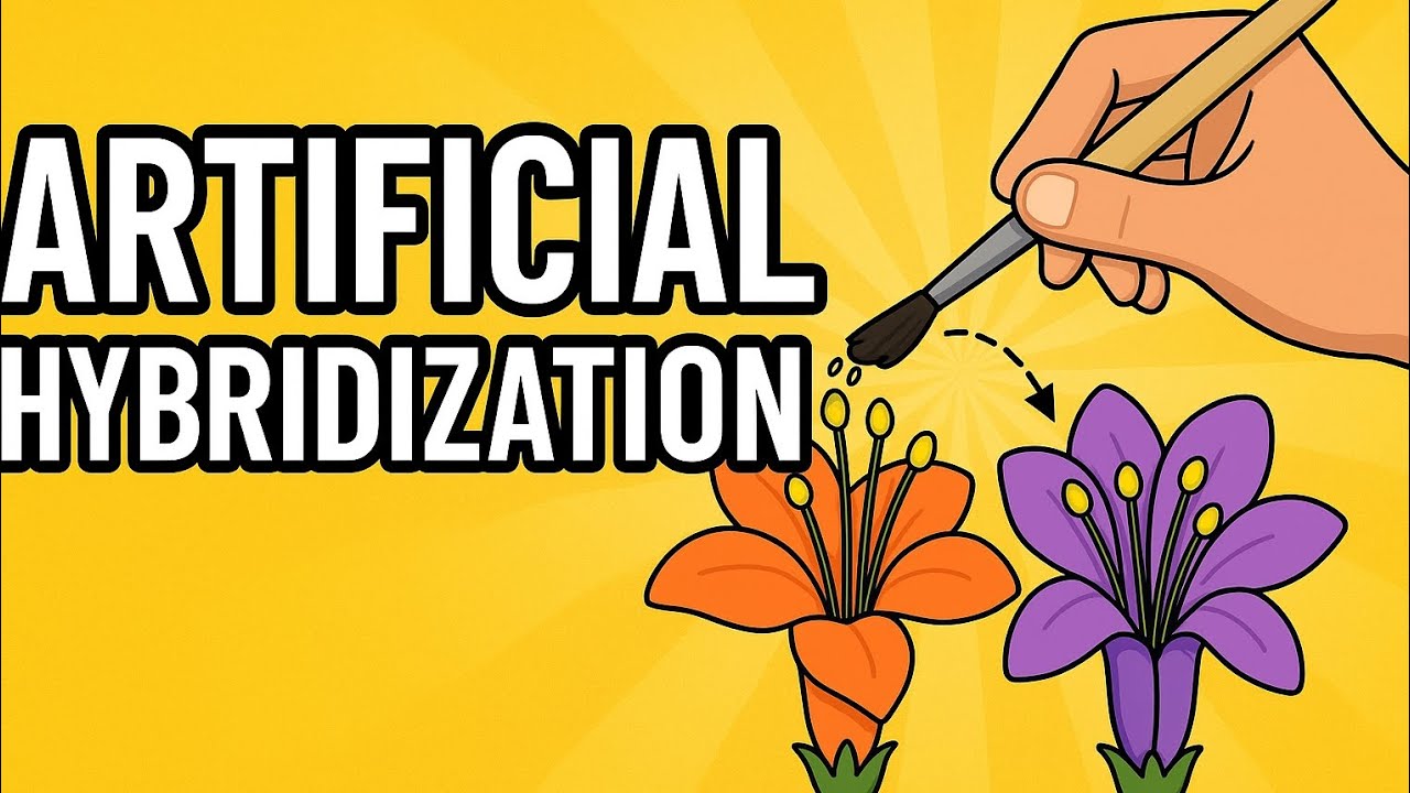 Artificial hybridization 3D Animation video in hindi #durgeshkumawatpmd#
