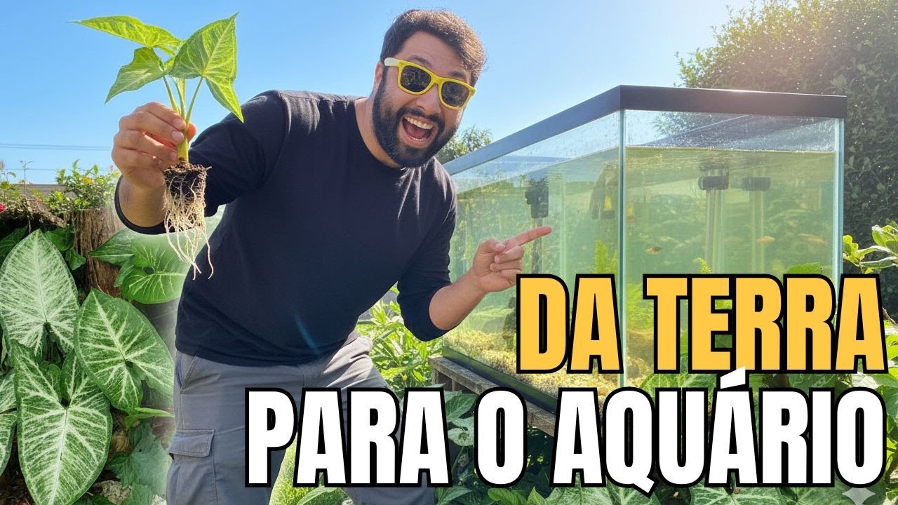 Plantas de Jardim Dentro do Aquário? Veja o Que Acontece!