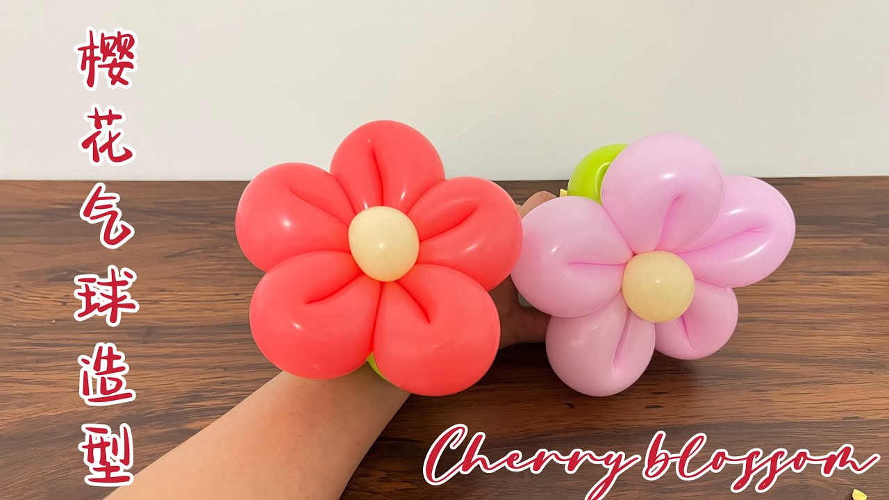 一款简单好学漂亮的樱花气球造型教学 Cherry blossoms-balloon art modeling suitable  for beginners