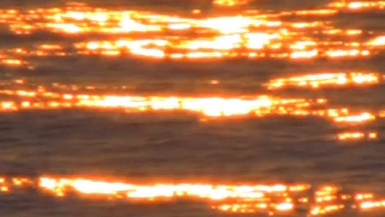 Jef Barbara - Florida Is The Future [Official Video]