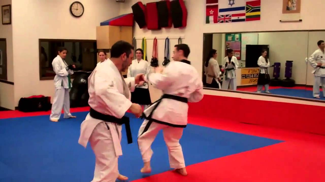 Lead Leg Sweep, Wheel Kick, Scissors Kick Takedown- Warren Levi Karate