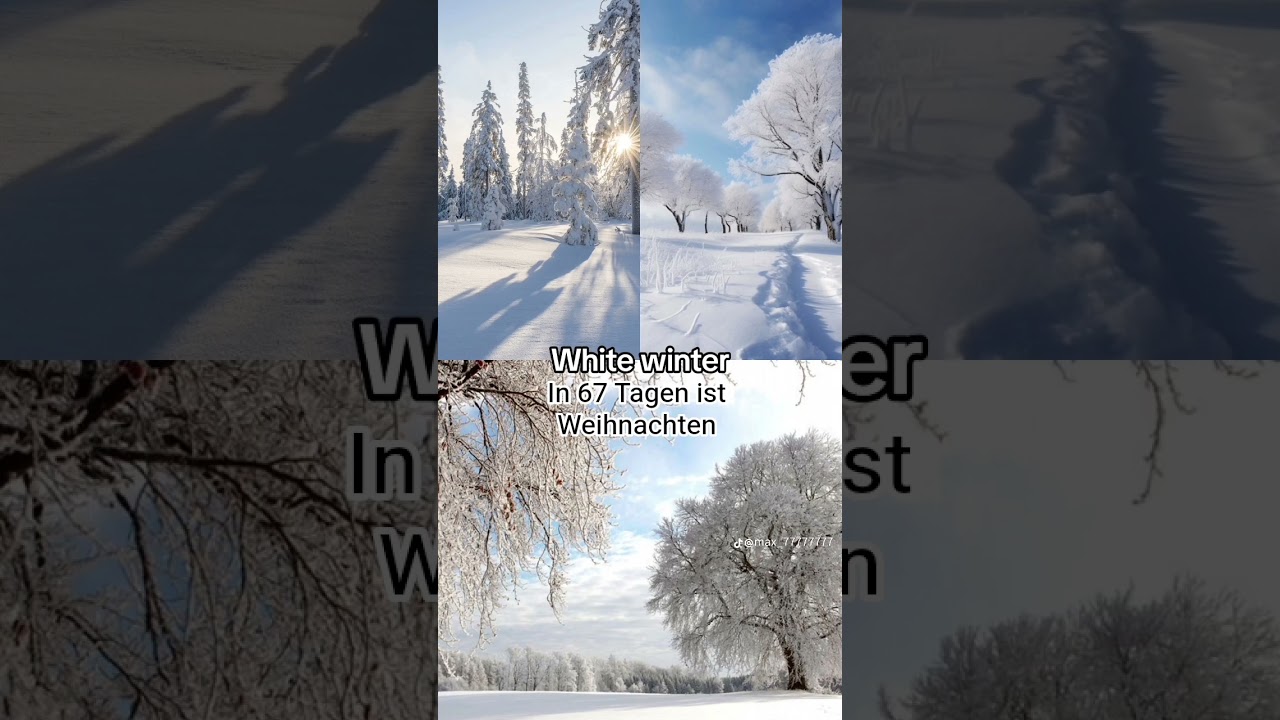 balt wieder Weihnachten 🌲🎄🎉