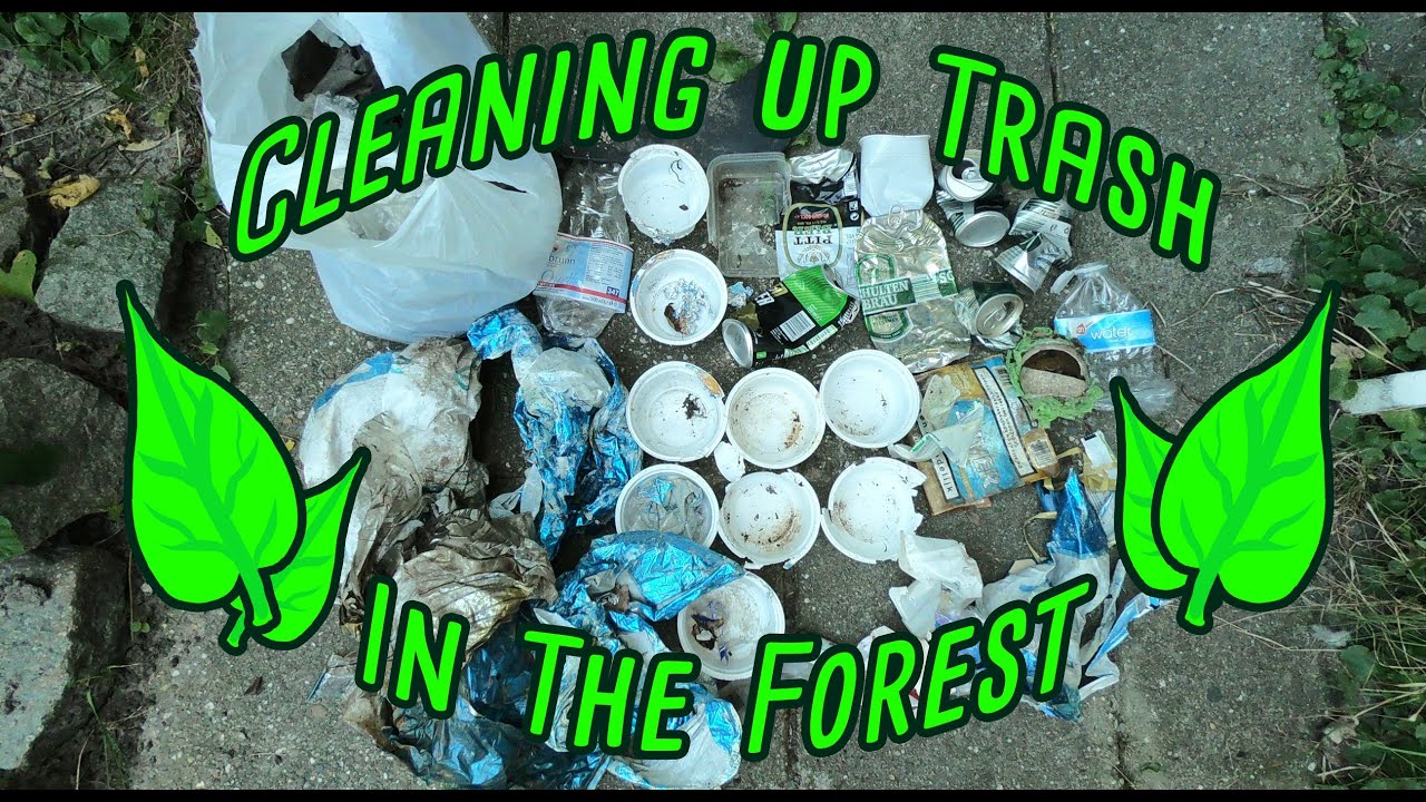 Cleaning up plastic pollution and other trash in the forest