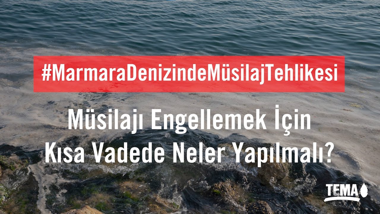 Müsilajı Engellemek İçin Kısa Vadede Neler Yapılmalı?