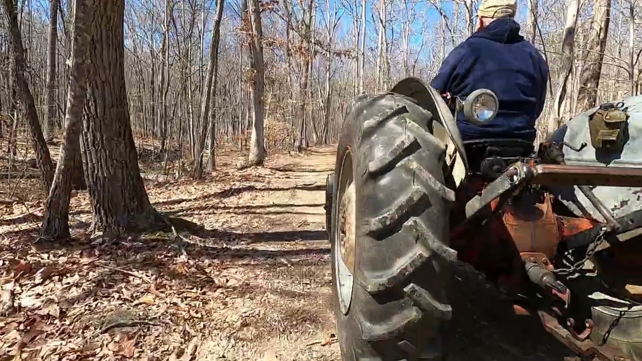 1953 Ford Golden Jubilee Tractor & Northern Red Oak Splitting